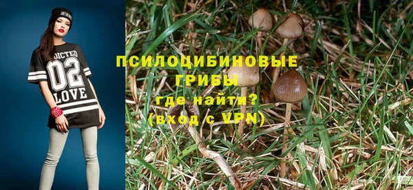 дживик Алексеевка